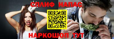 гидропоника Краснознаменск