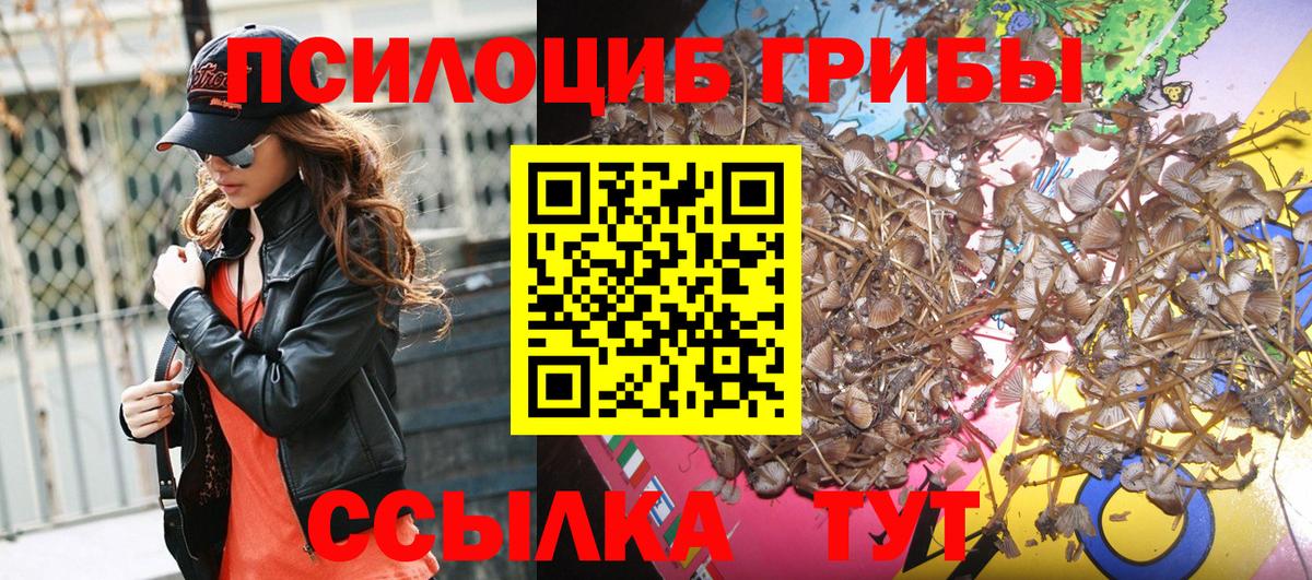 Псилоцибиновые грибы мицелий Коркино